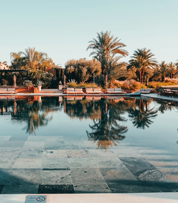 Piscine bordée de palmiers dans une résidence de Marrakech